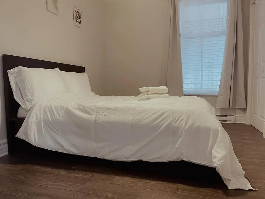 Spacieux Appartement De 3 Chambres Downtown Montreal
